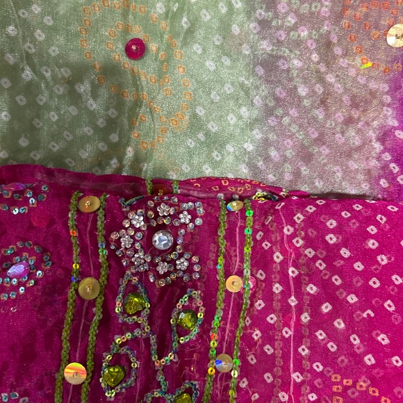 Elegant Pink and Green Lehenga - Picture 7 of 15